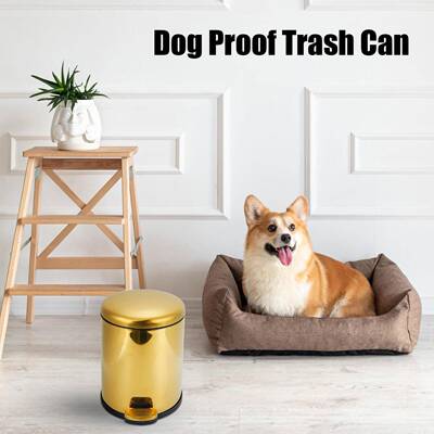 卫钛金桶色垃圾29409不锈钢带盖弧形面包翻盖脚踏盖生间5L