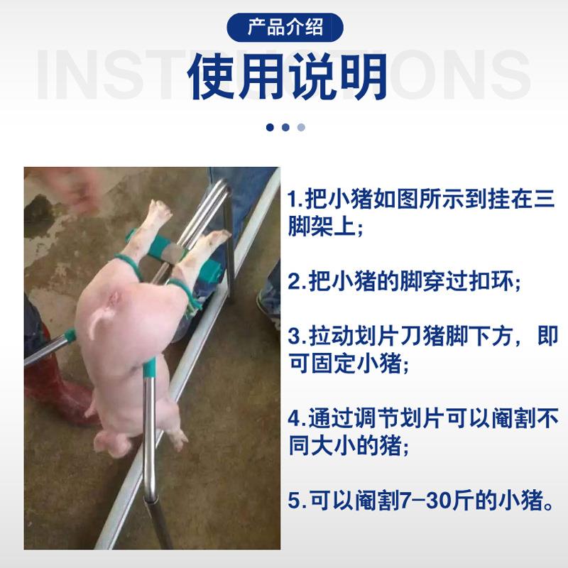 仔猪阉猪不20628锈钢猪小猪架阉猪台养殖阉割架子猪用三角阉器挂