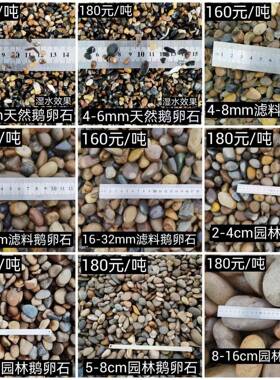 黑豆炒板栗黑砂精铁胆砂小艺颗粒黑石色抛南京WJZ雨花石园鹅卵石