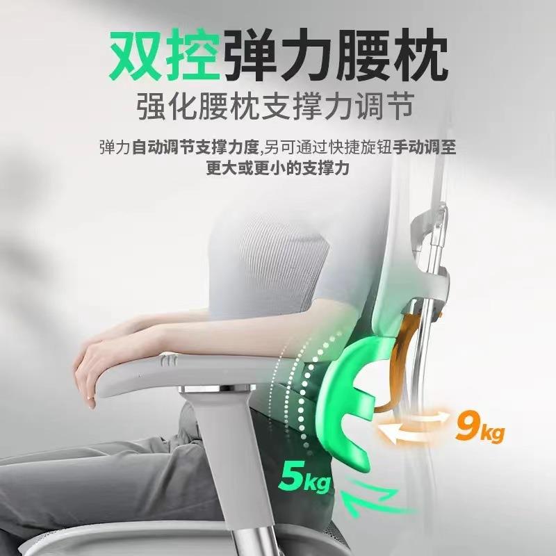 联E友金脑豪S体工学椅人护腰办公椅电椅转椅升降椅老金豪SE板椅