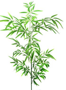 仿真竹盆栽阻厅燃竹加密造绿植景子客橱窗屏风装饰挡墙植90532物