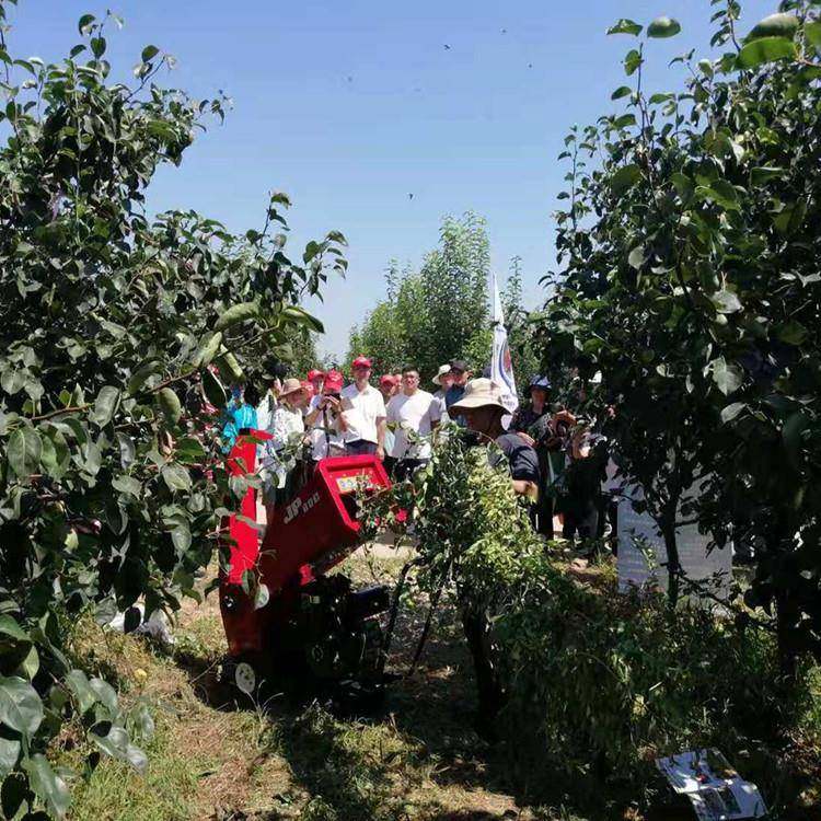 枝汽油柴油大进料口无品牌/碎枝机干湿两杆碎用果园树打机拖式树,五金/工具,其他机械五金,淘宝优惠券,粉丝福利购,淘宝优惠卷