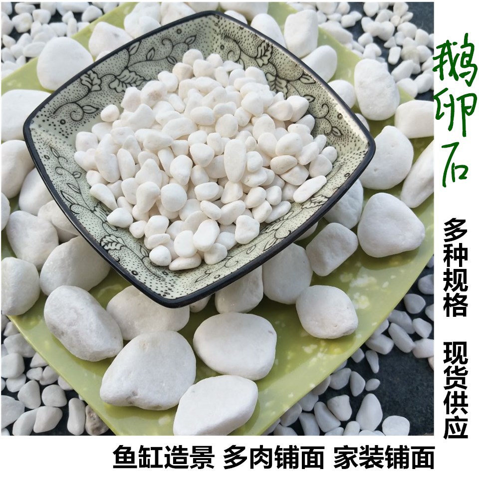 鹅卵石大批量现货白色石头50斤装机制鹅卵石多肉铺面造景白石子