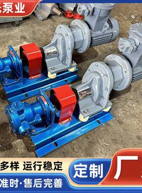 CB高粘度转泵树脂胶水甘油BUZ物料输子送合泵内啮齿轮泵自吸泵38N