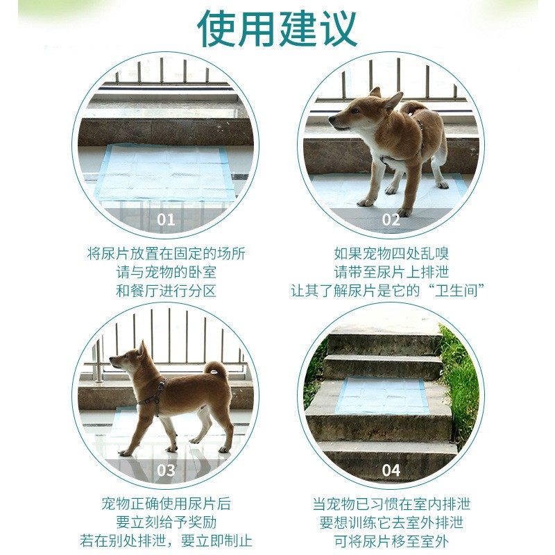 狗狗尿片狗尿垫尿布100片宠物尿不湿猫咪泰迪吸水垫大号训导用品,宠物/宠物食品及用品,尿片/尿垫/护垫,淘宝优惠券,粉丝福利购,淘宝优惠卷