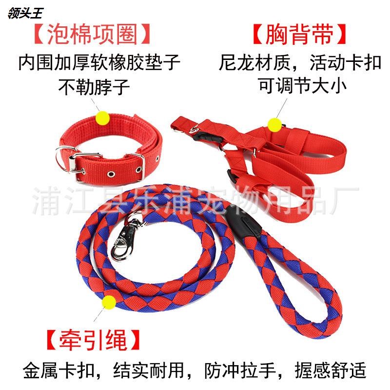 宠物牵引绳 编织麻花尼龙狗链 狗绳中大型犬胸背带狗狗牵引绳