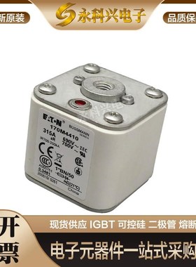 适用快速熔断器保险丝170M4392/4393/4394/4395/4396/4397/5388