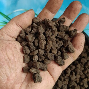 峨眉山荷王仙土颗粒兰花土君子兰专用土培养土水培水草颗粒土包邮