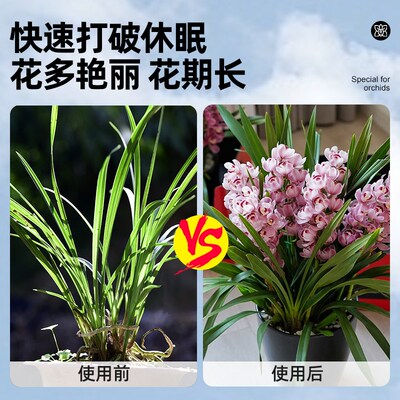 兰花多箭素爆芽开花营养液专用菌肥料促花箭花浓缩液体肥过冬神器