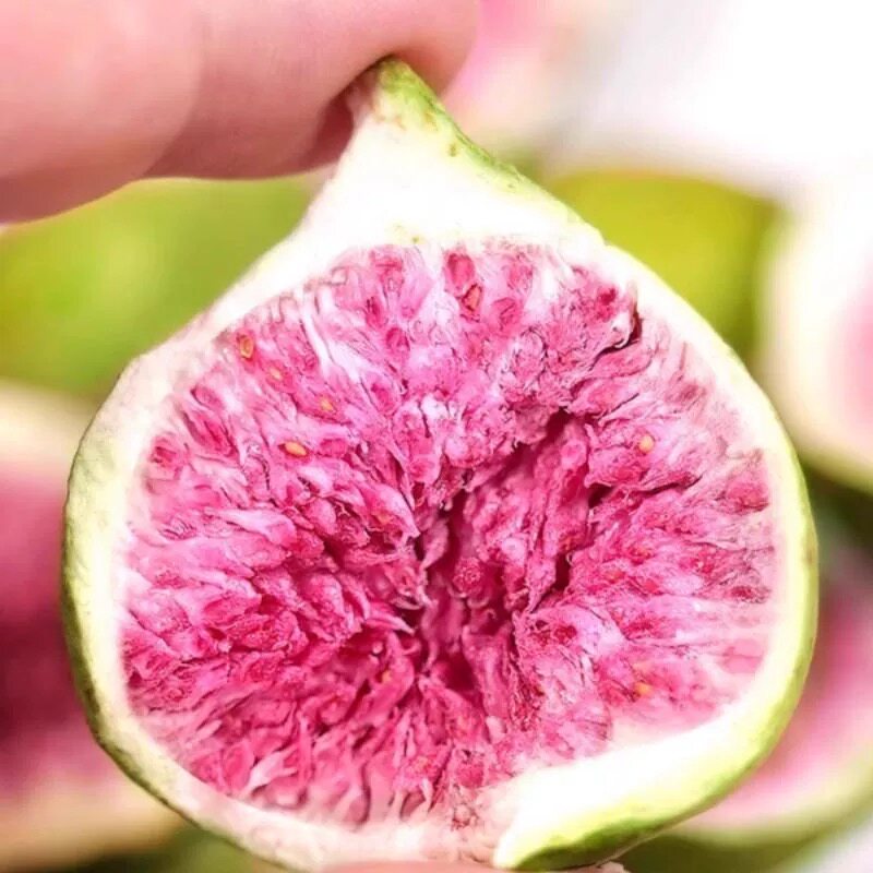 鲸洋无花果干山东威海特产无花果干即食期间店袋装冻干泡水食品