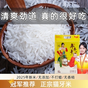 年年丰猫牙王米丝苗米25年新米猫牙米长粒香米2.5kg10斤煲仔饭米