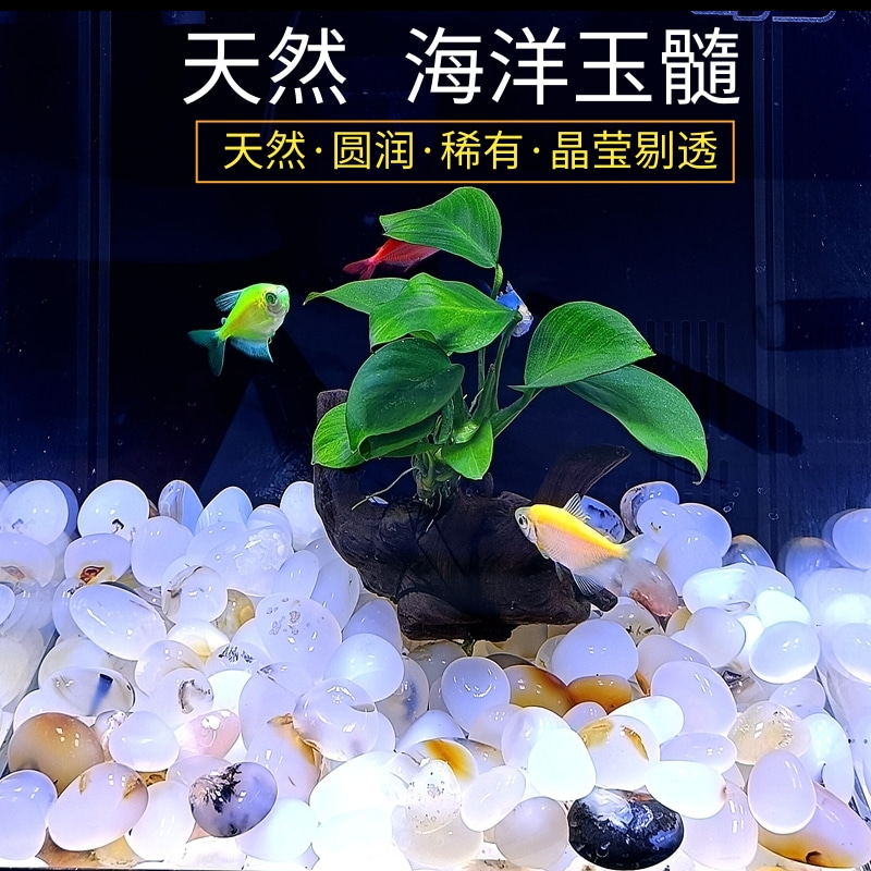 天然雨花石鹅卵石海洋玉髓鱼缸造景底沙多肉铺面花盆水培五彩砂石