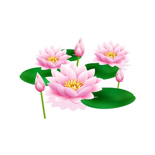 浪漫补洞墙贴墙面装饰品卫生间改造遮丑神器自粘贴纸贴花床头装饰