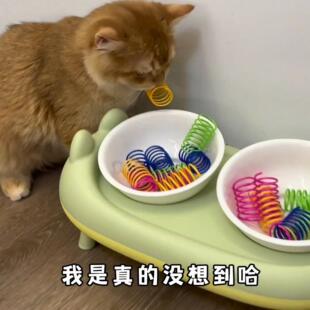 逗猫神器猫咪自嗨解闷玩具彩色塑料小弹簧逗猫棒幼猫逗猫用品耐咬