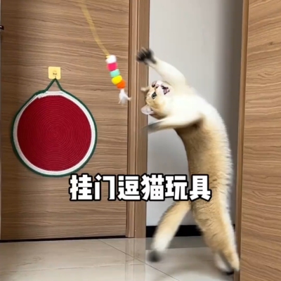 猫玩具自嗨解闷神器荡秋千