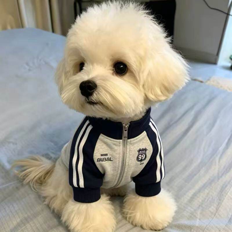 新款狗狗衣服秋冬款超帅卫衣加绒