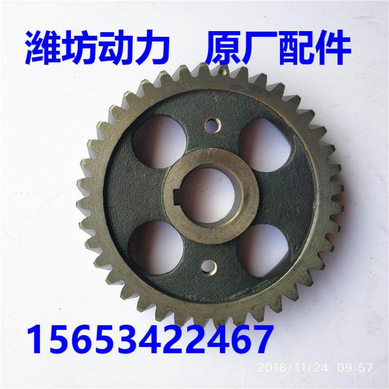 柴华丰k4100d zhag 4102 zh4105zd柴油机 凸轮轴正时齿轮