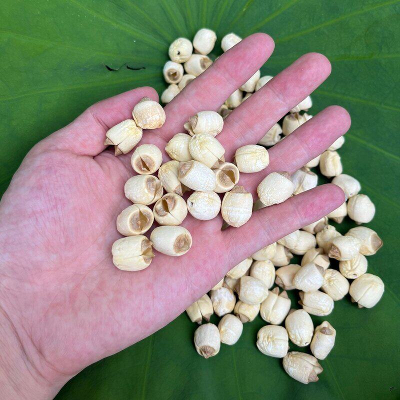 江西广昌手工通芯白莲干货饱满软糯香甜可煲汤糖水