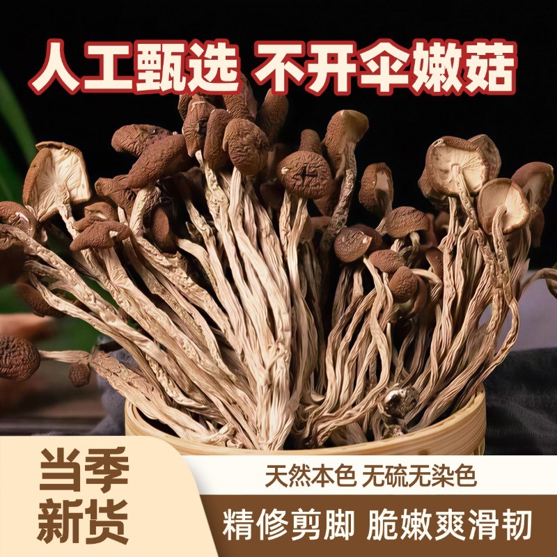 【地道!爆款干货】正宗云南茶树菇菌菇干货原汁原味炒菜煲汤30g/