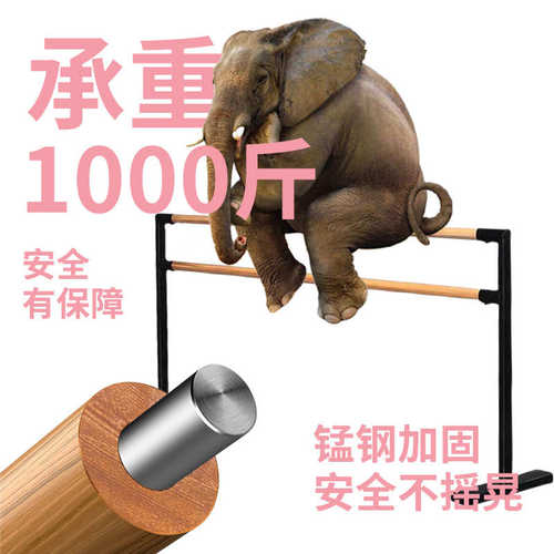 双层舞蹈把杆家用移动式压腿杆专业跳舞把杆舞蹈房教室练功杆芭蕾