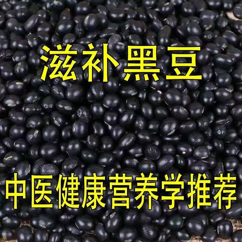3斤黄心小黑豆农家自产纯天然非转基因打豆浆专用药用杂粮新货