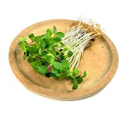 新鲜香椿苗蔬菜30g 微型芽苗菜 可食用苗菜 日料西餐摆盘装饰点缀