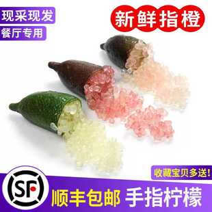手指柠檬新鲜果 澳洲品种指橙鱼子酱50g拇指柠檬西餐排盘装饰点缀
