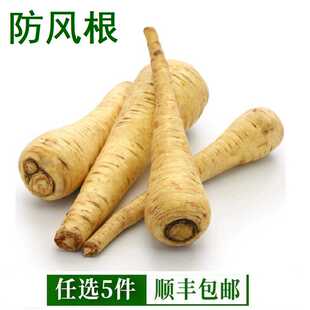 新鲜欧洲防风根parsnip蒲芹菜萝卜500g法国西餐烘焙食用烤欧独活
