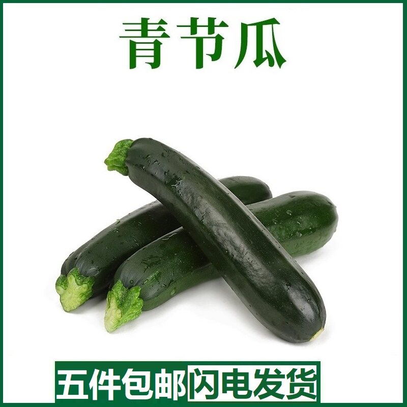 意大利青节瓜新鲜500g西葫芦青瓜夏南瓜茄瓜西餐食用烘焙结瓜
