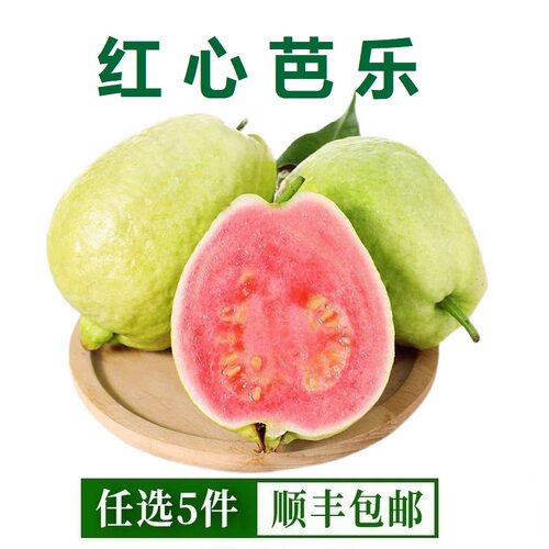 红心芭乐番石榴低糖新鲜水果当季现摘软糯香甜巴乐果胭脂红肉水果