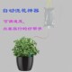 盆栽自动浇花神器滴水器懒人浇水器浇灌器出差旅行自动浇花器2套