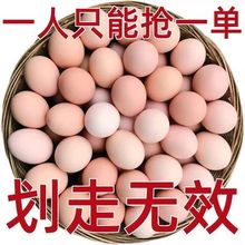 正宗土鸡蛋散养农村柴鸡蛋40枚现捡现发营养笨鸡蛋新鲜农家一整箱