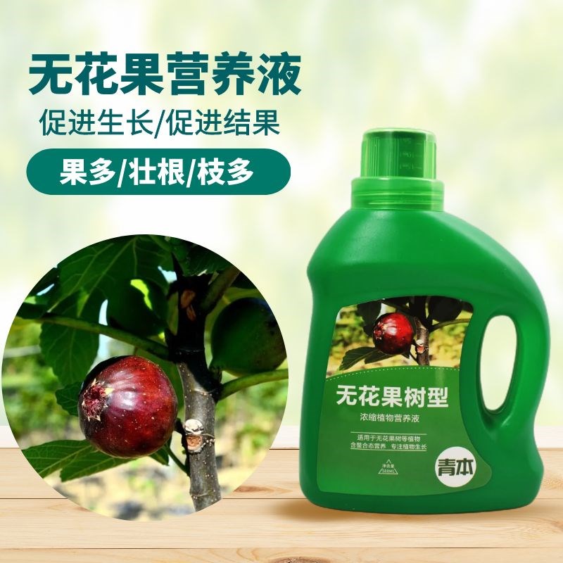 无花果专用营养液肥料果树肥料盆栽无花果有机肥料叶面肥复合肥