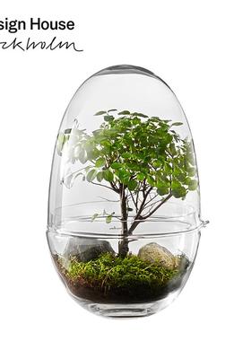 瑞典Design House玻璃罩微景观生态瓶摆件透明 绿植物展示盒防尘