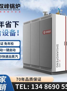双峰 超低氮冷凝式燃气蒸汽产生器 商用工业 节能环保全自动锅炉