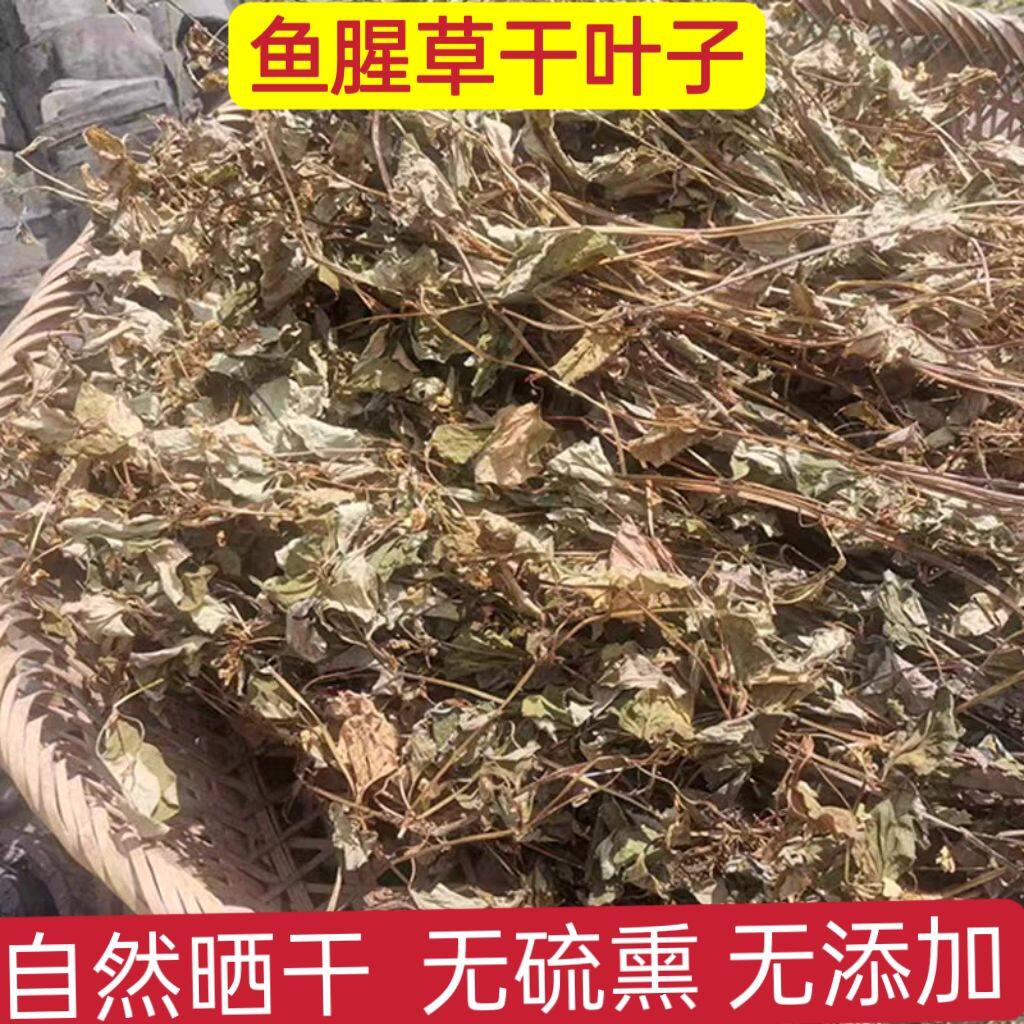 野生鱼腥草晒干整株折耳根正品叶子晒干泡水农家自晒凉茶