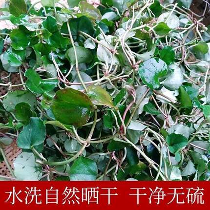 四川大叶金钱草干货野生金钱草过路黄新鲜金钱草自然晒干无硫熏