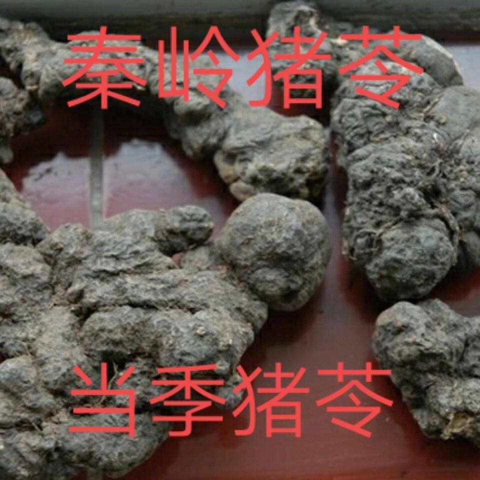 秦岭猪苓个子干货正品猪苓原产地深山猪苓个猪屎精选优质