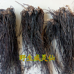 野生威灵仙正品铁脚威灵仙新鲜晒干野生威灵仙全草山辣椒秧整根