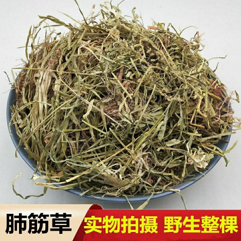 四川野生新鲜肺经草小肺心草肺筋草梅花草蛆儿草金线吊白米