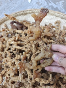 黄精干货四川野生姜形甜黄精仙人余粮正品批发煲汤泡酒非九蒸九晒