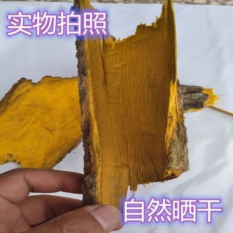 川黄柏秦岭深山正宗老树黄柏劈皮川黄柏劈木黄柏皮干货