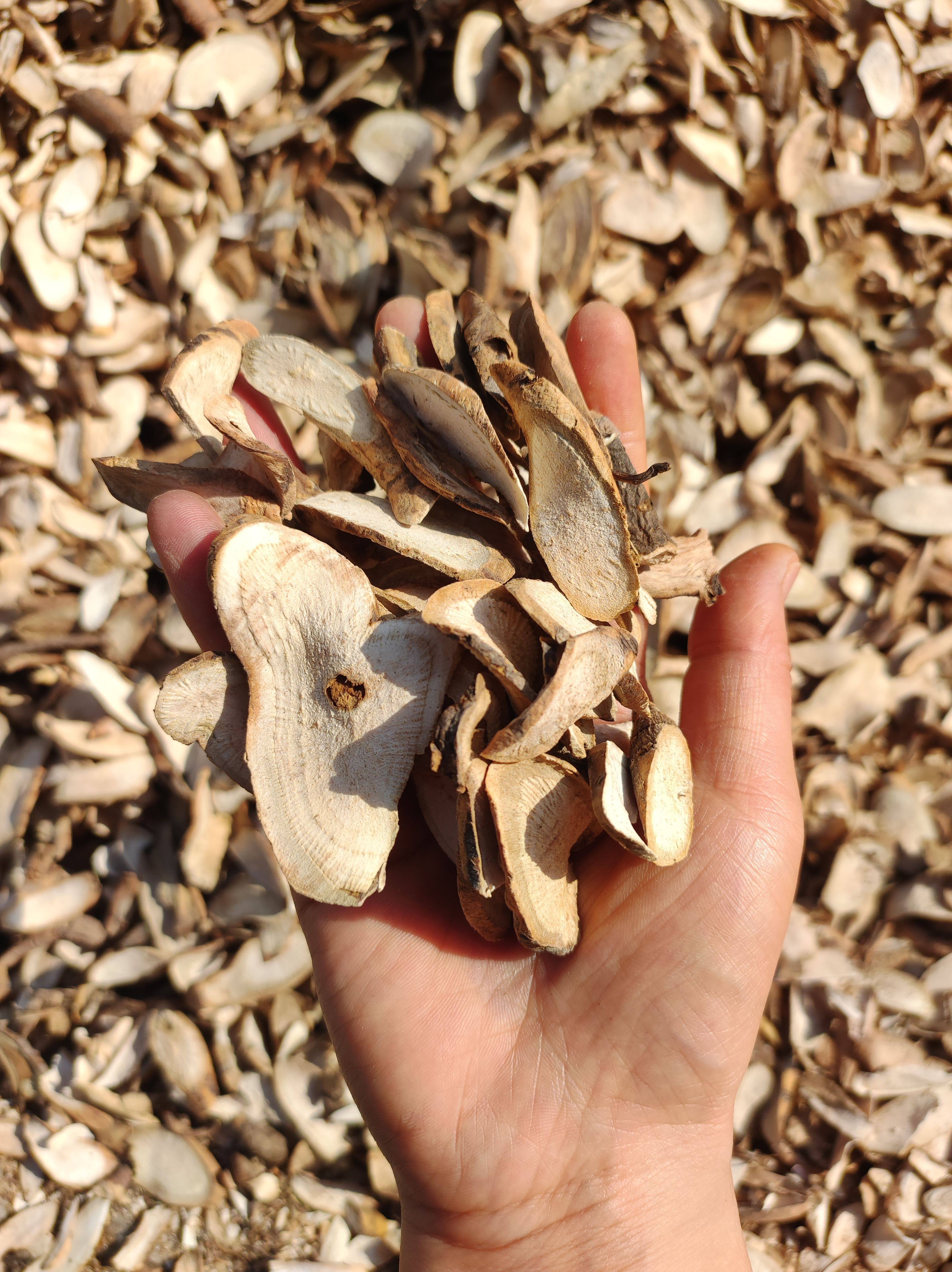 野生白芍片野生天然白芍片生白芍药无硫白芍50克正宗