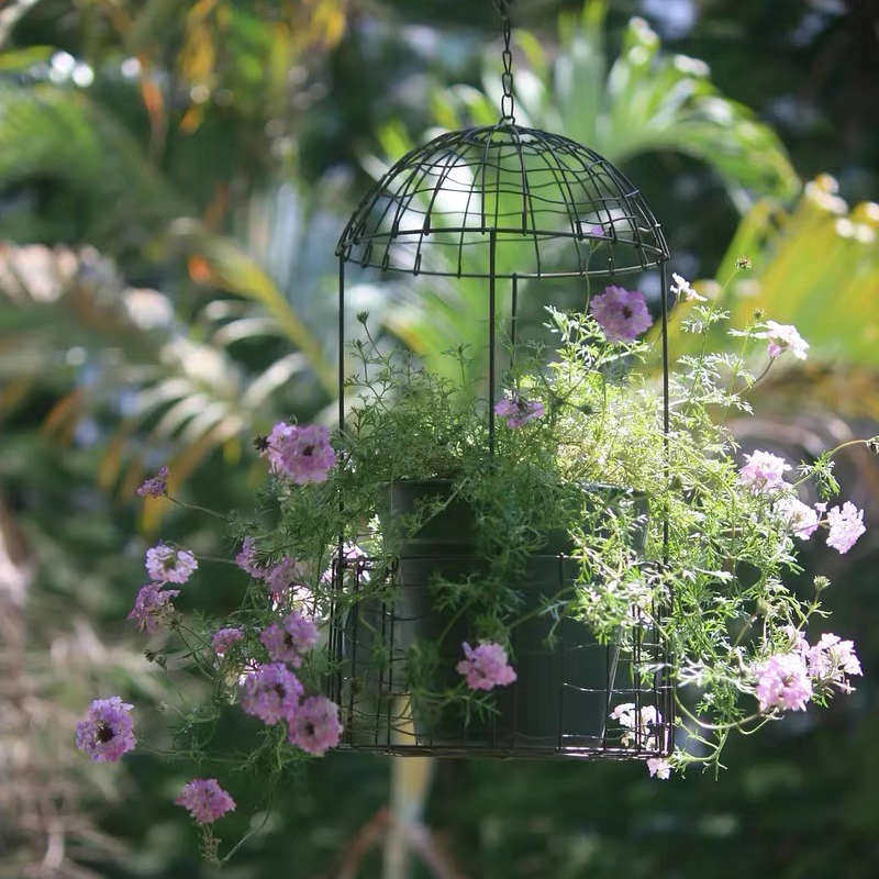 吊兰垂吊花盆吊挂悬挂吊篮花架挂架垂挂壁挂麻布篮子铁网格花盆
