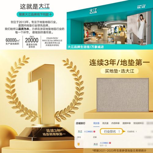 大江地垫高级轻奢入户门脚垫家用门口进门防滑垫玄关户外耐脏地毯