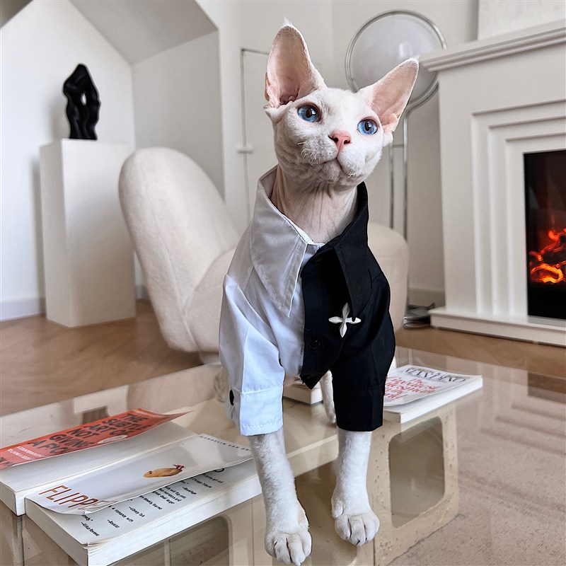 德文衣服斯芬克斯无毛猫星球黑白拼色潮款西装衬衫宠物礼服套装