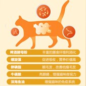 猫粮鸡肉冻干全价奶糕成猫全期幼猫小奶猫咪三文鱼专用营养增肥