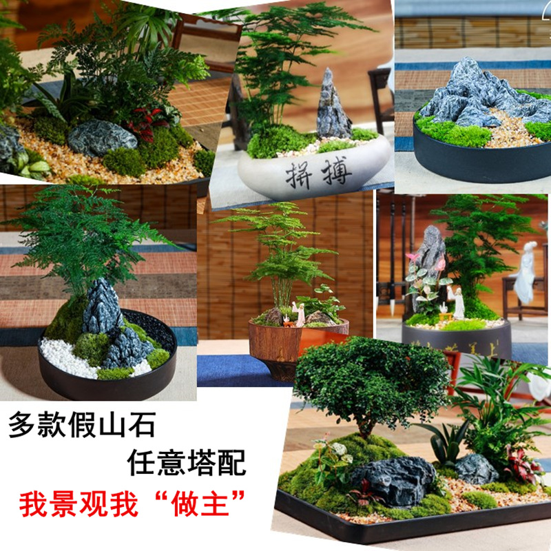 创意假山石盆景配件微景观园艺绿植摆件小石头生态景观鱼缸造景