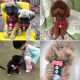 晚礼服西装 胸背带牵引绳宠物狗狗猫咪用品泰迪比熊雪纳瑞狗绳背心
