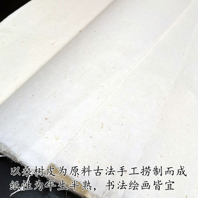 特种皮纸古法桑皮纸纯手工桑树土纸半生熟四六尺书法国画专用宣纸